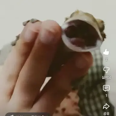 Profile image of 대한민국