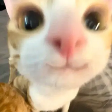 Profile image of 강해린