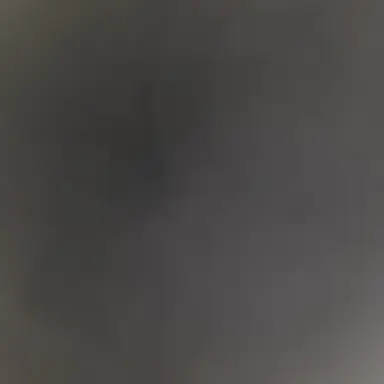 Profile image of 유기사