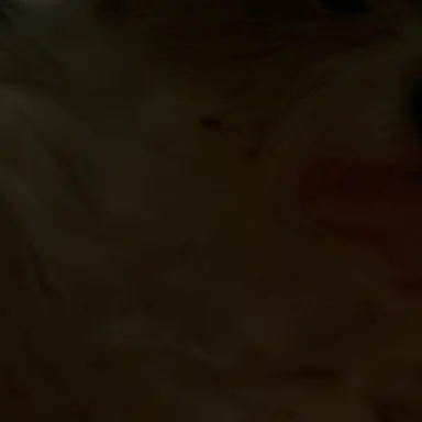 Profile image of 유강민