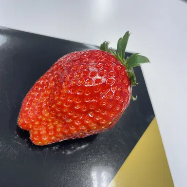 Profile image of ユーキ