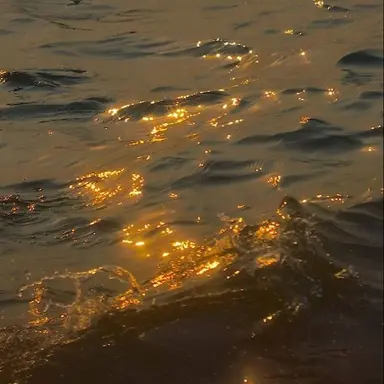 Profile image of 유민하