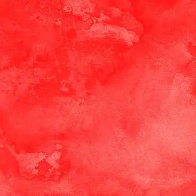 Profile image of 瞳