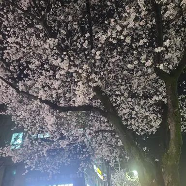 Profile image of 미스터리 수사반