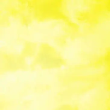 Profile image of 湊