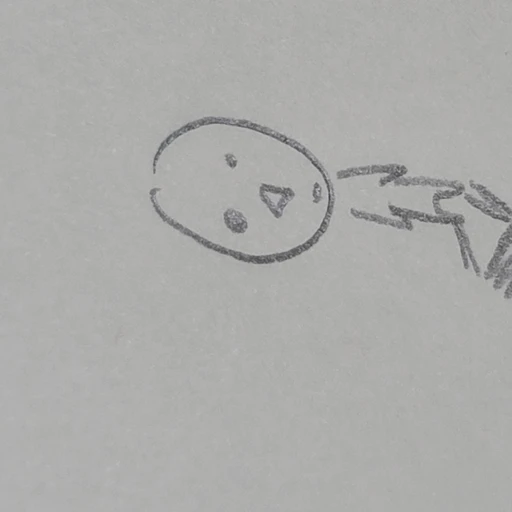 안모기