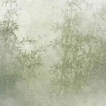 Profile image of 立花仙蔵
