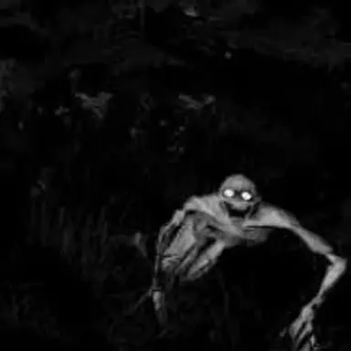 Profile image of Kaelan Blackwood