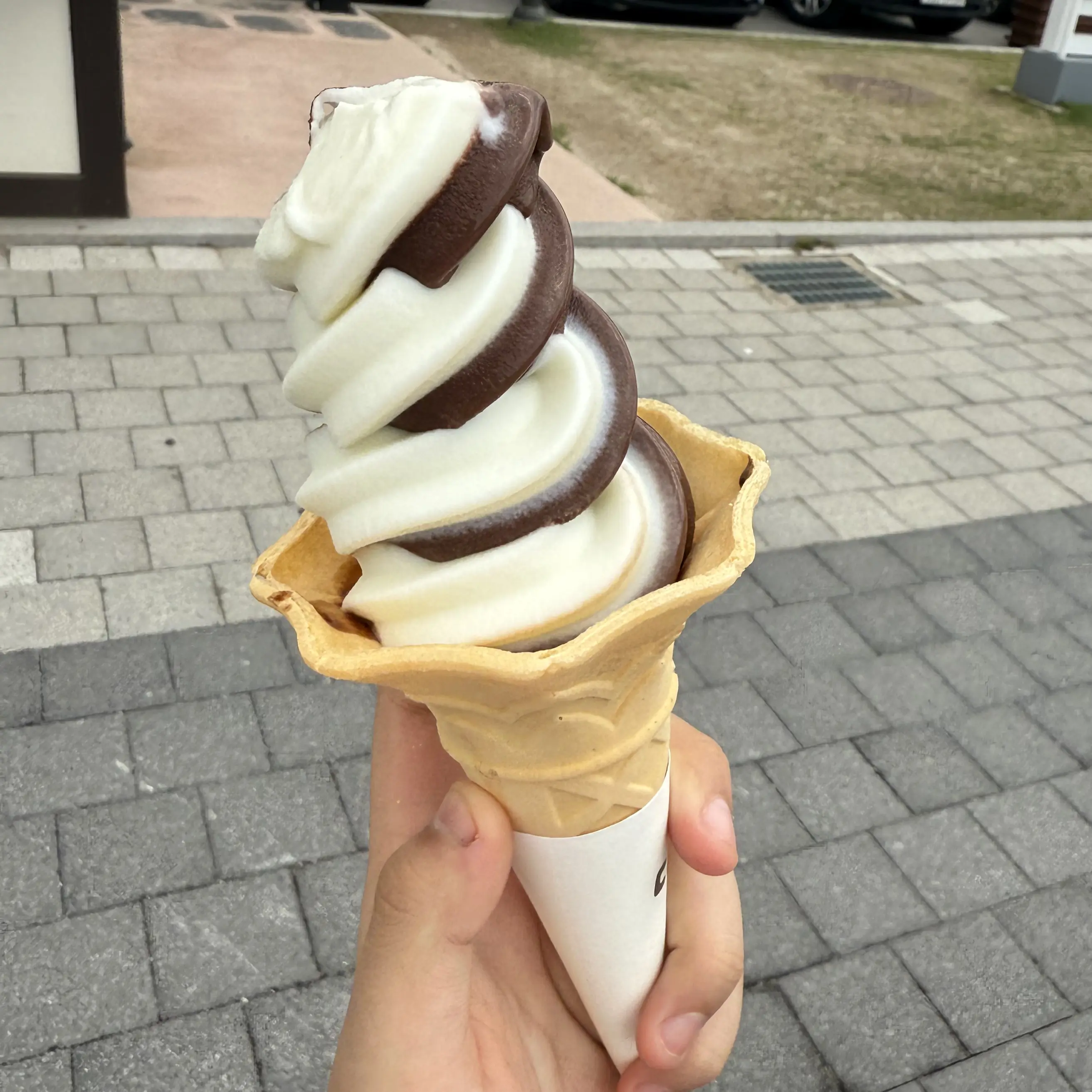 MiniCold0992의 여우에게 속았다