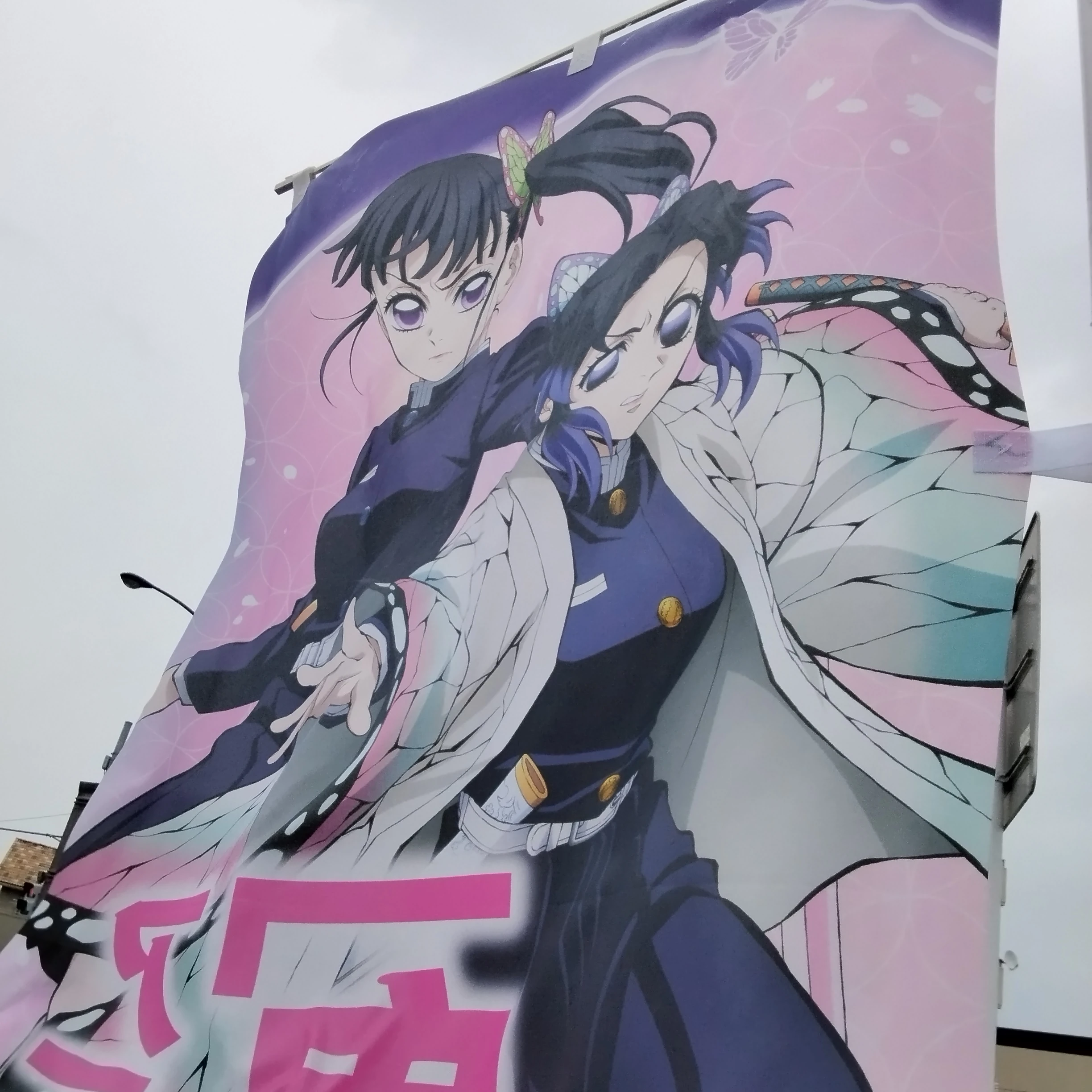 しのぶ