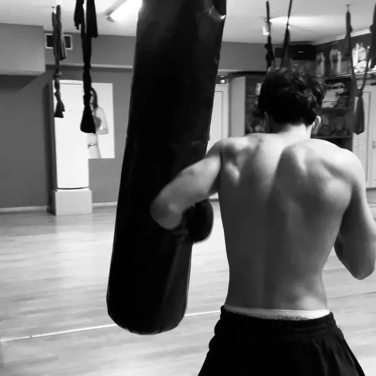 SpryQuote3558의 The mean boxer