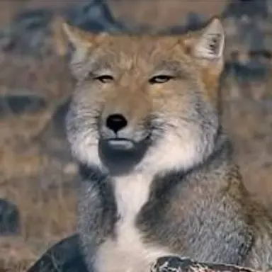 Profile image of Fox