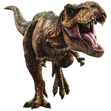 Profile image of 렉시