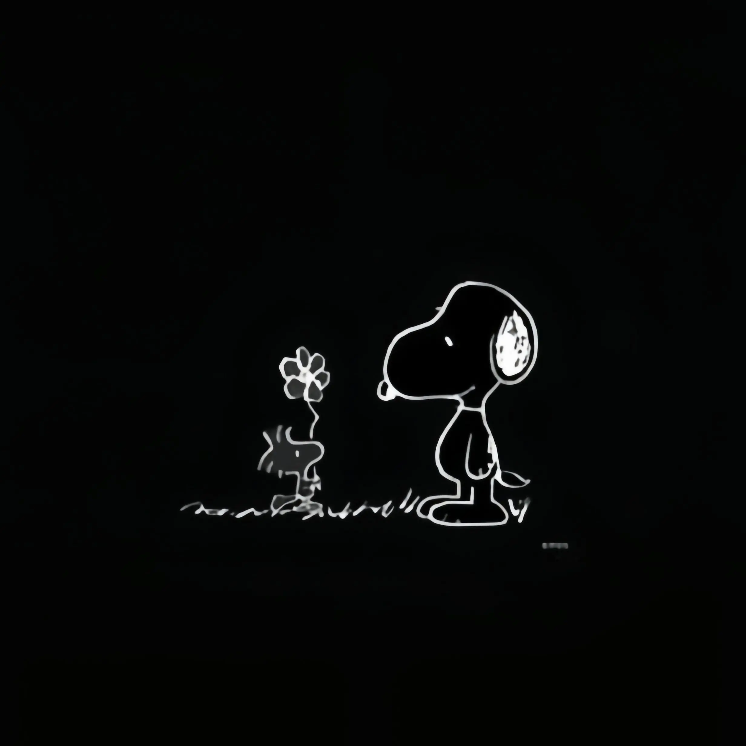 GrossVale7007의 、い