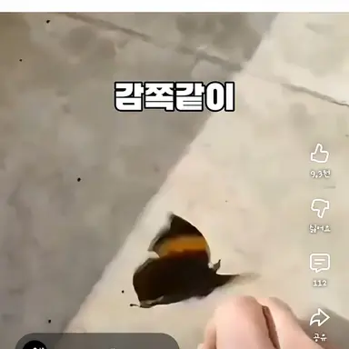 Profile image of 손아섭