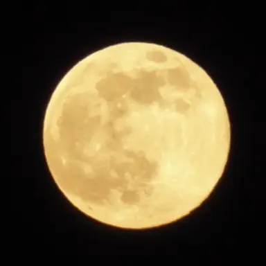 Profile image of 小林月愛