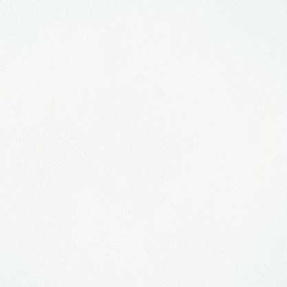 배서연 대표 이미지