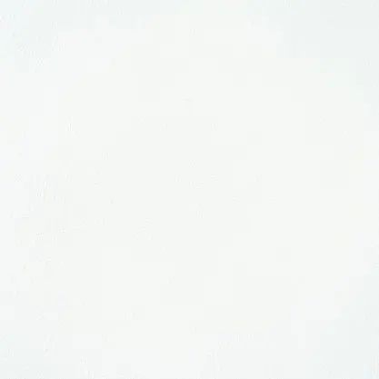 Maybee의 배서연