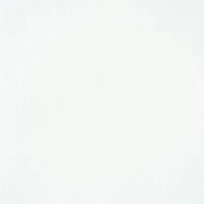 배서연
