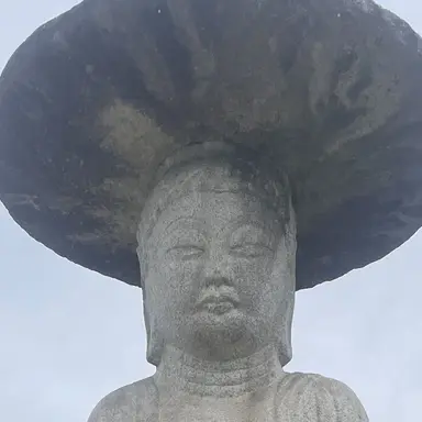 Profile image of 여우
