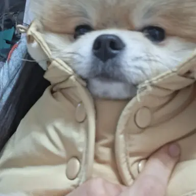 Profile image of 김늑대