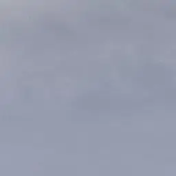 Profile image of RAS