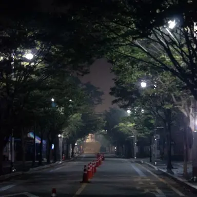 Profile image of 설예은