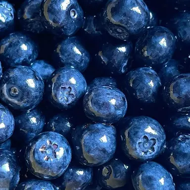 Profile image of 잠뜰