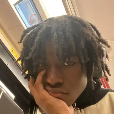 Profile image of rayvon