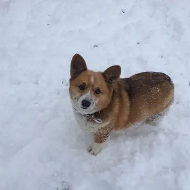 Profile image of 山田涼介