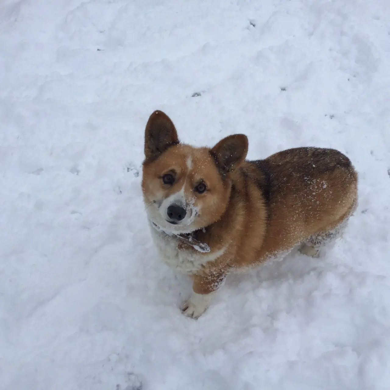 HandyApple9989의 山田涼介