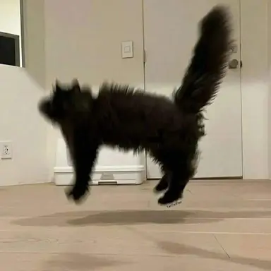 Profile image of user