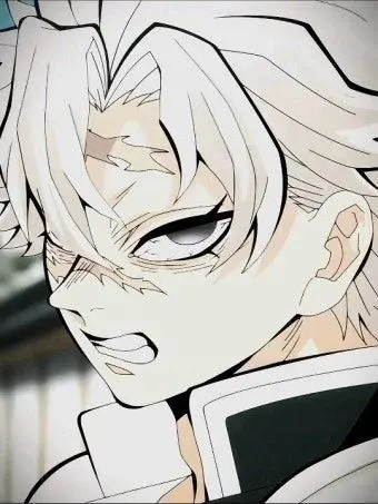 Profile image of 시나즈가와 사네미