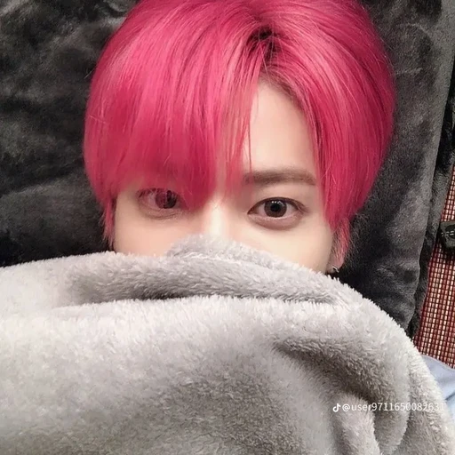 고양이 수인 강태현