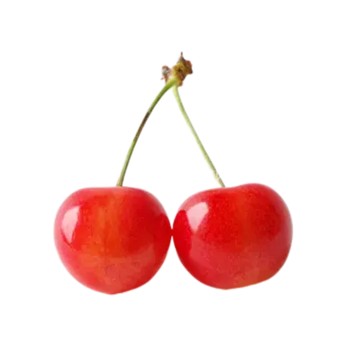 Profile image of 月足 天音