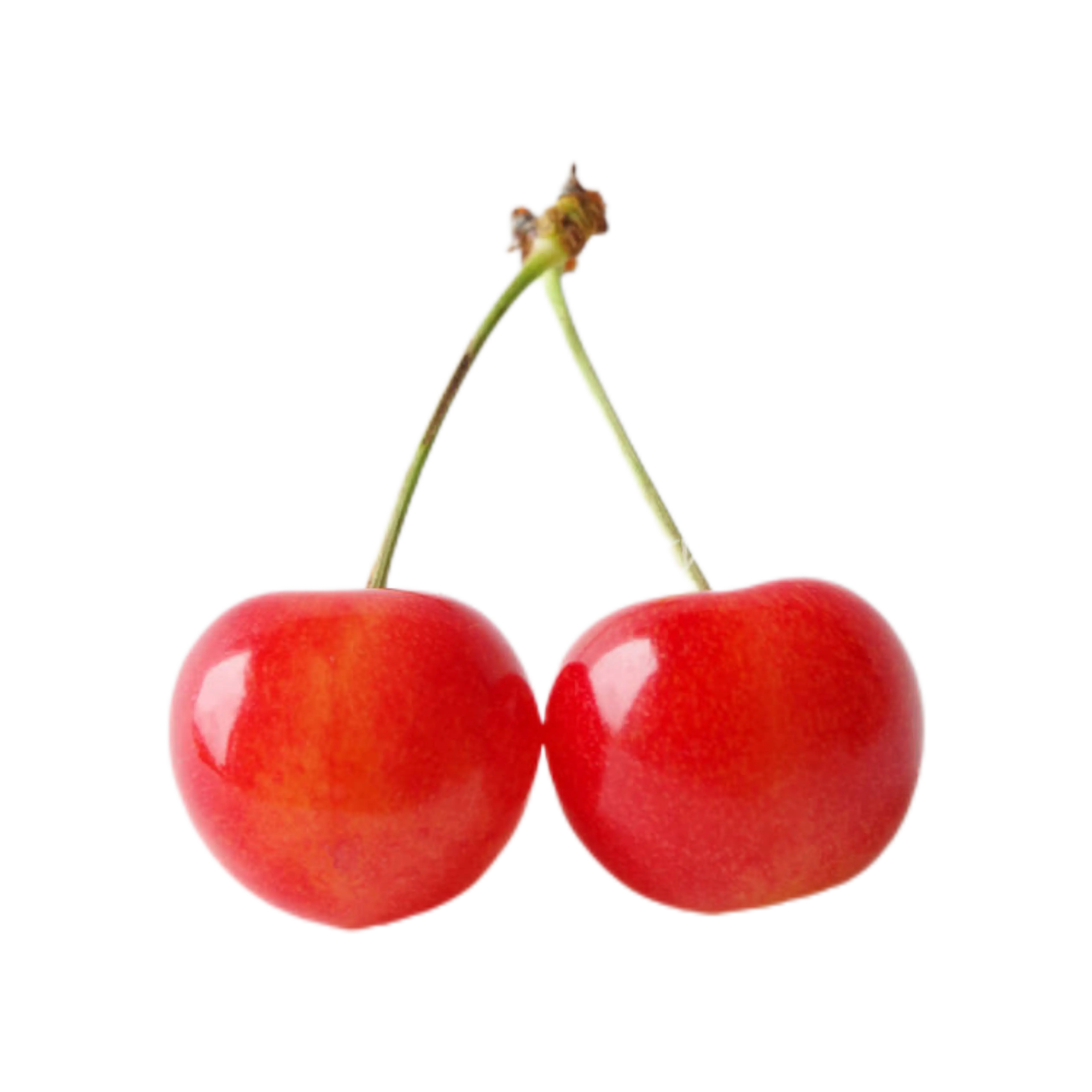 HARAJUKU의 アイドル同士が恋愛！？