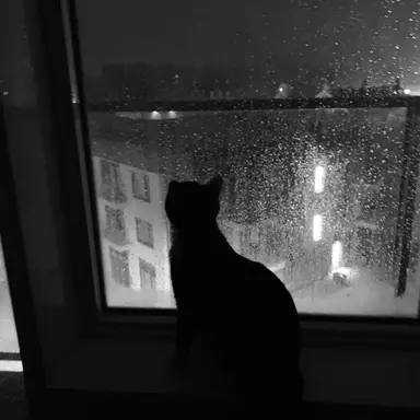 Profile image of 윤정한