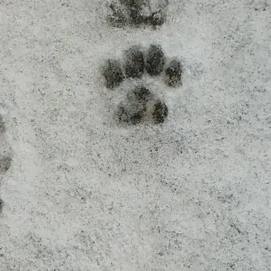 Profile image of 사장