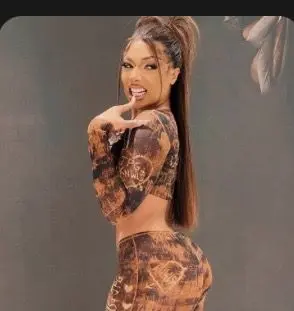 FastSwab9614의 Megan Thee Stallion