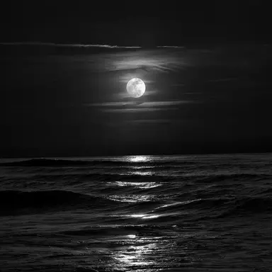 Profile image of フィリックス