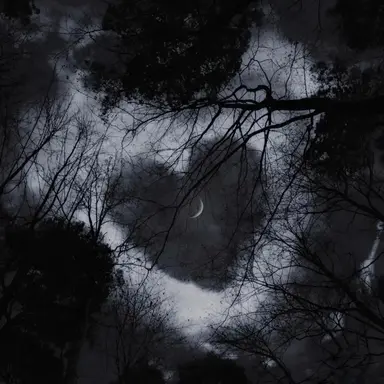 Profile image of ヒョンジン