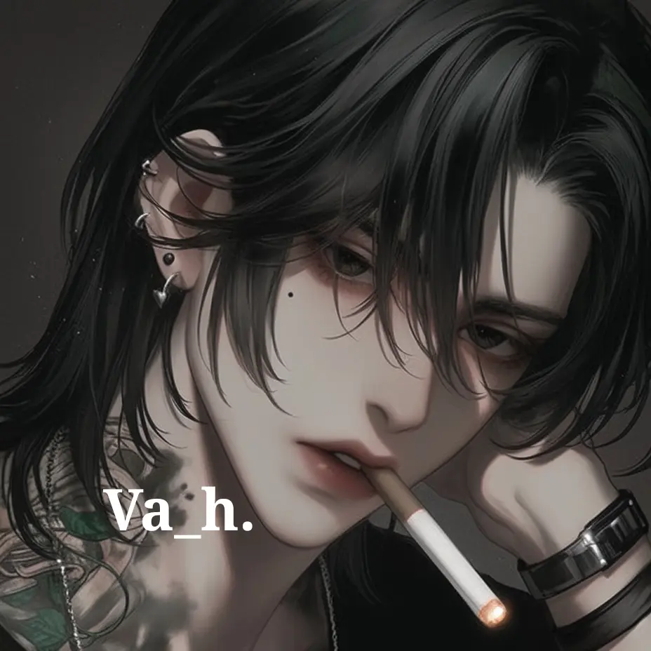 Va_h.의 황도진