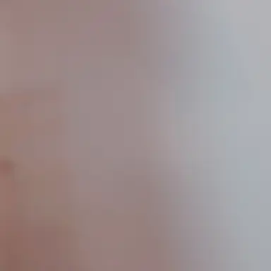 Profile image of 향신료