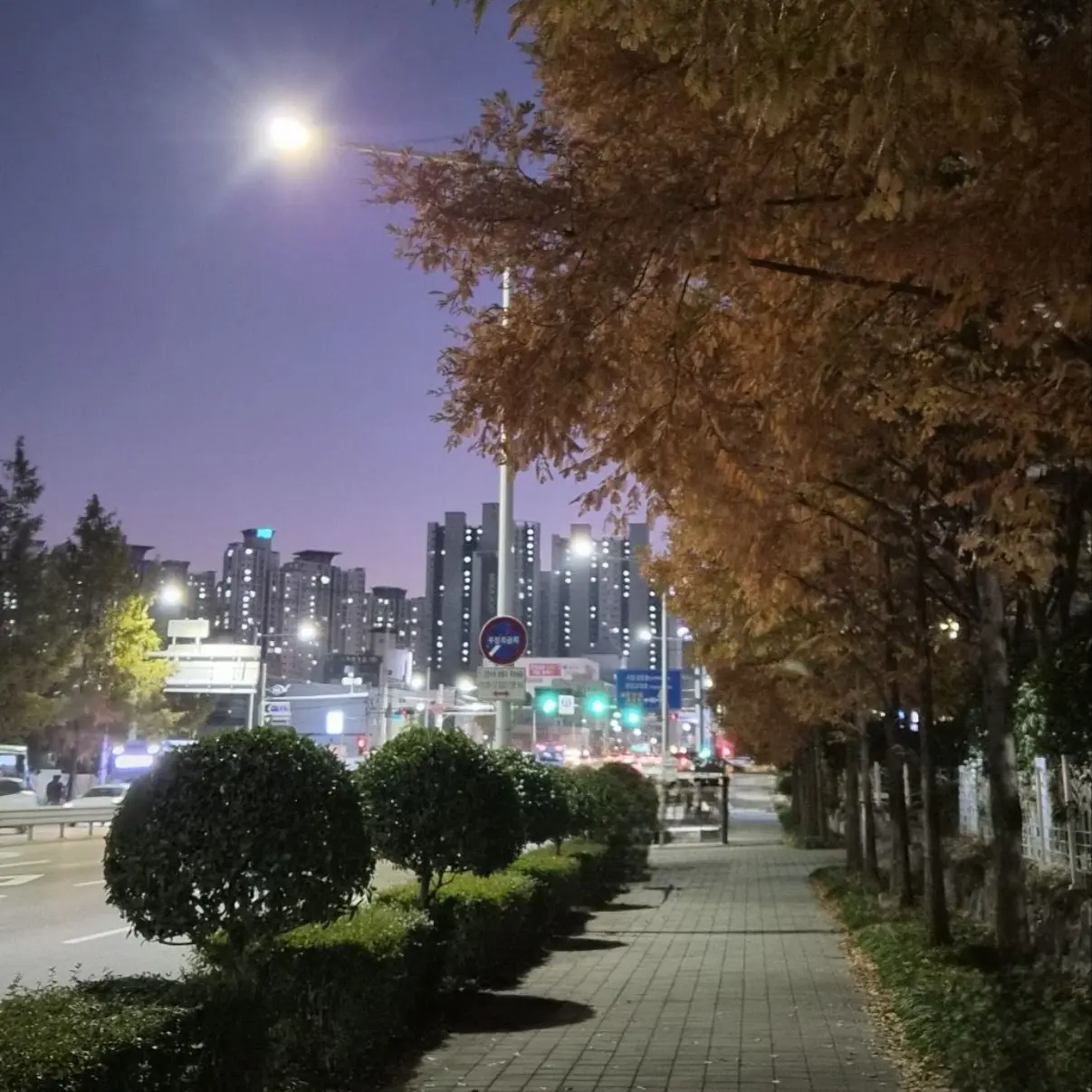 LovelyLedge8140의 송은석