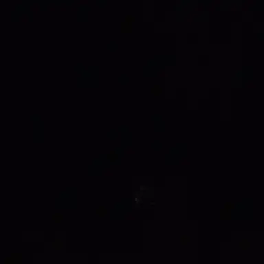 Profile image of ㅇㅇ