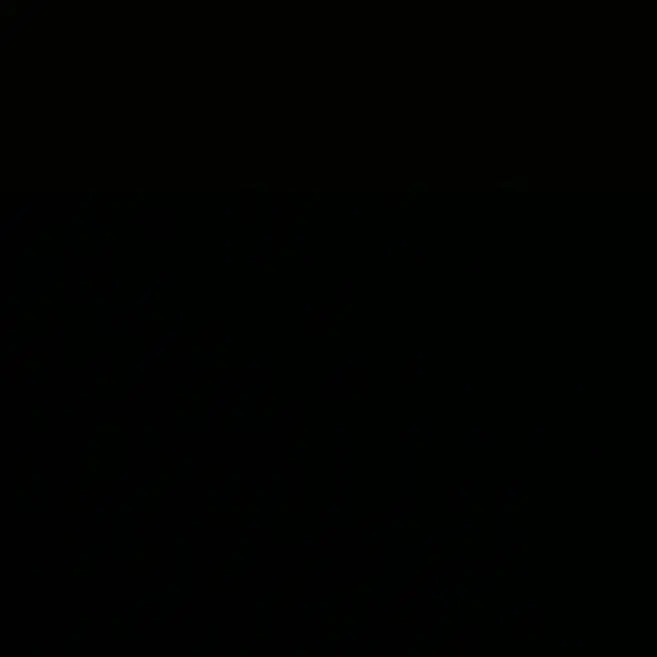 KXW의 이석민