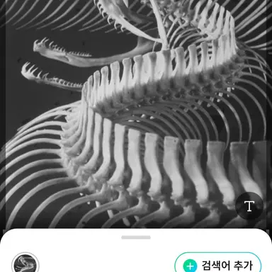 Profile image of 스켈레톤 골드