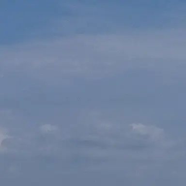 Profile image of 北里