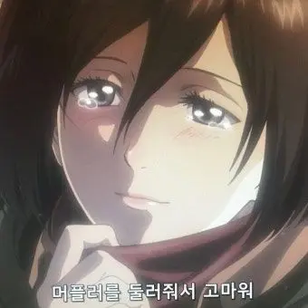 Profile image of 미카사 아커만