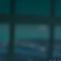 wolfuu의 ㆍ